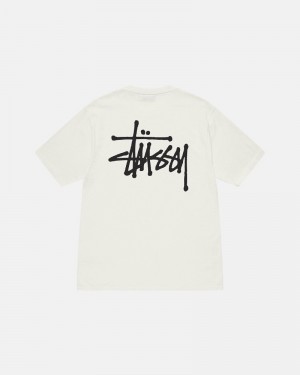 Stüssy Basic Pigment Dyed T-shirts Herren Beige | JQHUB-9421