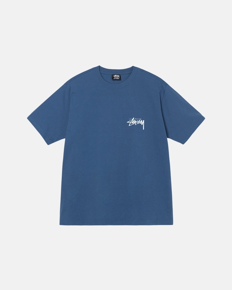 Stüssy Authentic New Era T-shirts Herren Schwarz | MGWKU-3945