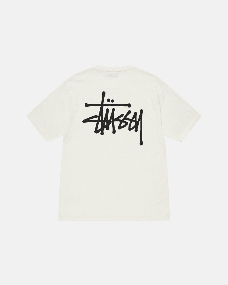 Stüssy Basic Pigment Dyed T-shirts Herren Beige | JQHUB-9421