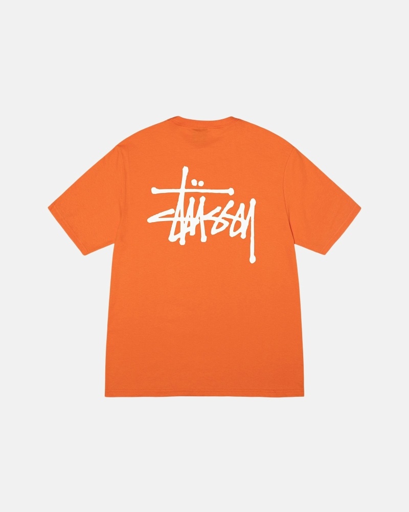 Stüssy Basic T-shirts Herren Koralle | MNVZG-9431