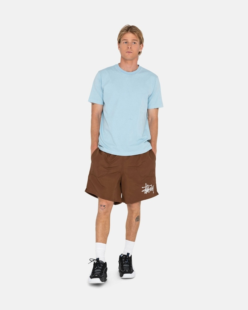 Stüssy Big Basic Kurze Hose Herren Kaffee | JUXNL-3019