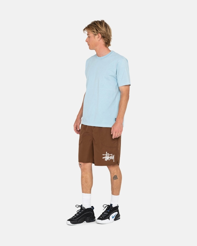 Stüssy Big Basic Kurze Hose Herren Kaffee | JUXNL-3019