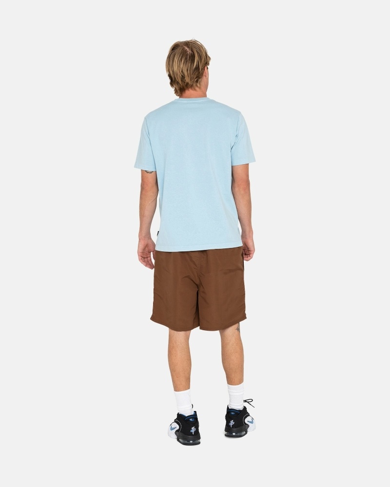 Stüssy Big Basic Kurze Hose Herren Kaffee | JUXNL-3019