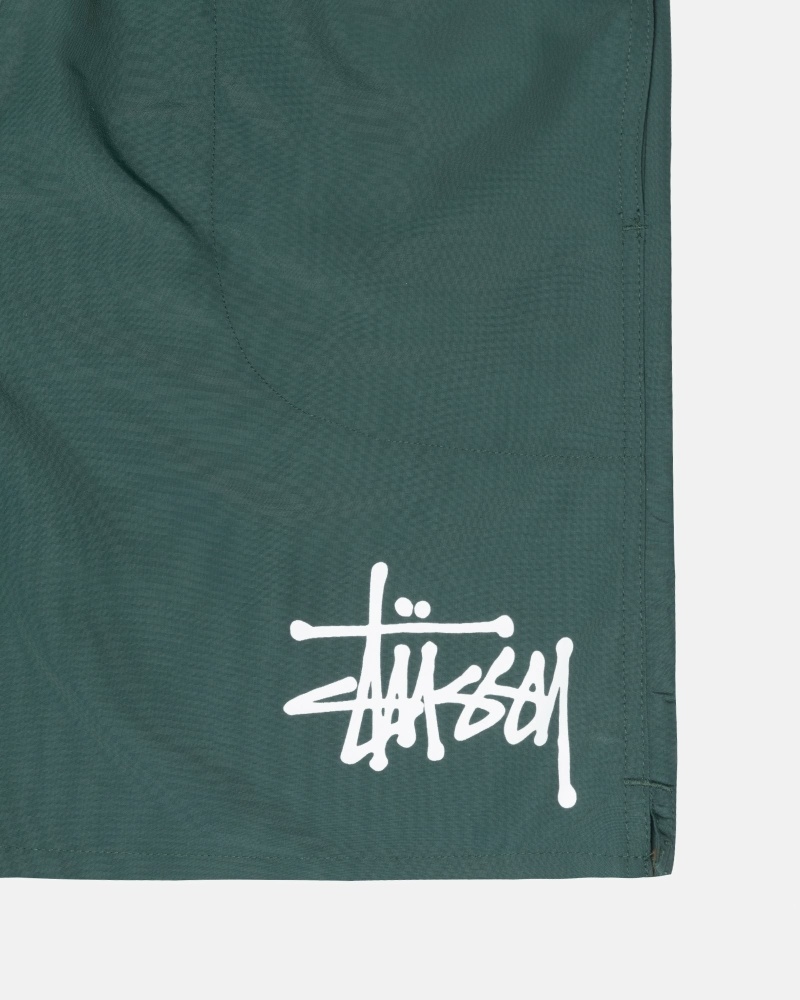 Stüssy Big Basic Kurze Hose Herren Kaffee | SIJDR-7426