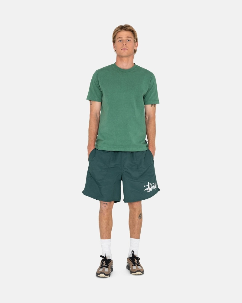 Stüssy Big Basic Kurze Hose Herren Kaffee | SIJDR-7426