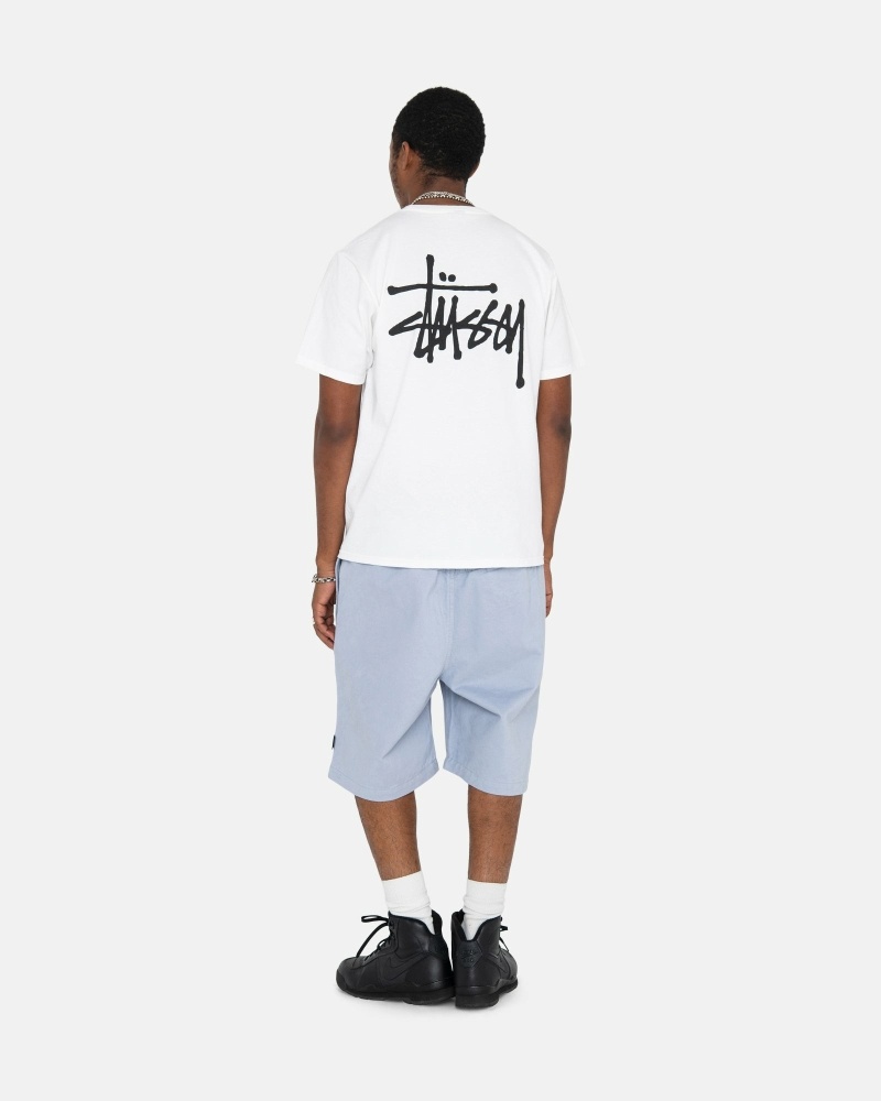 Stüssy Brushed Kurze Hose Herren Blau | GJSDO-5247