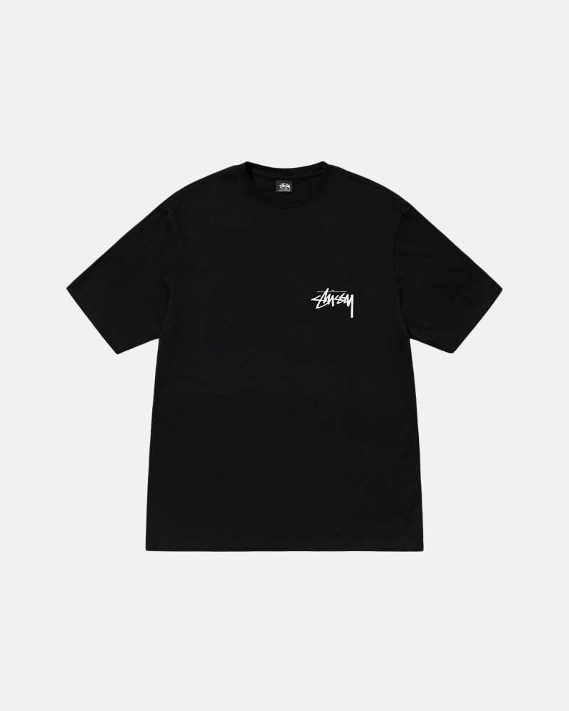 Stüssy Diced Out T-shirts Herren Schwarz | FOEAC-6493