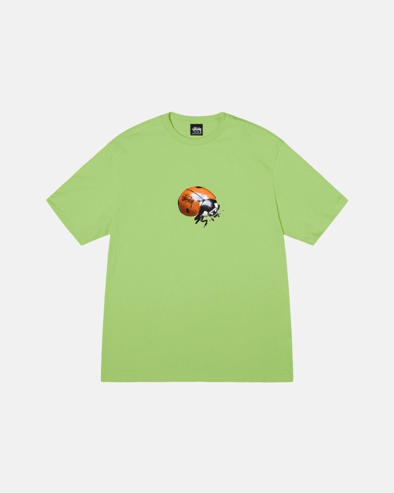 Stüssy Ladybug T-shirts Herren Schwarz | VKHSB-0492