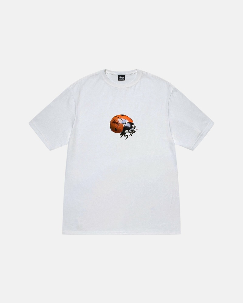 Stüssy Ladybug T-shirts Herren Weiß | UKEWA-2638