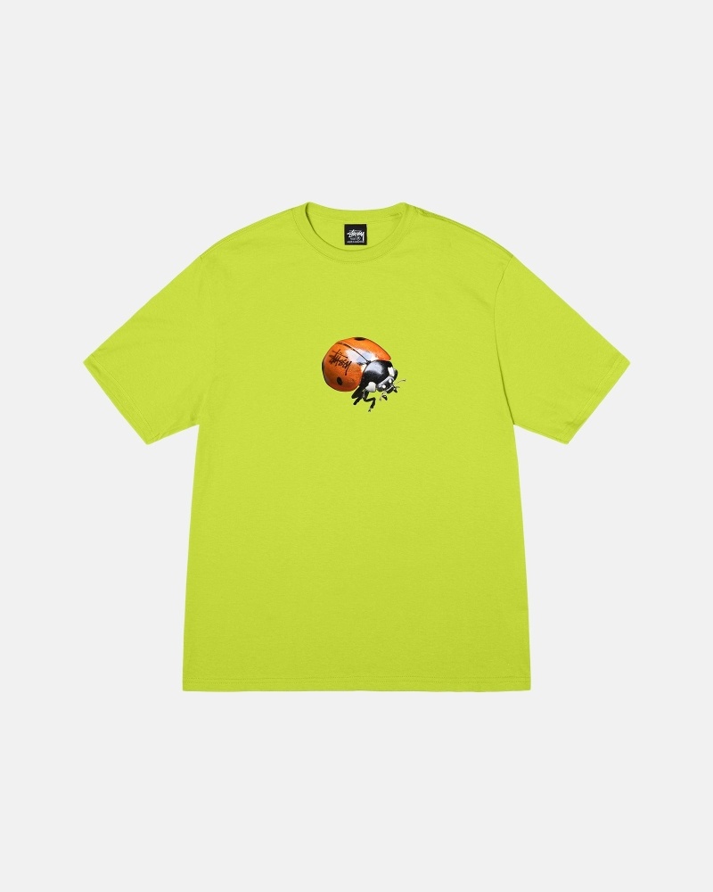 Stüssy Ladybug T-shirts Herren Weiß | ZGMPY-1753