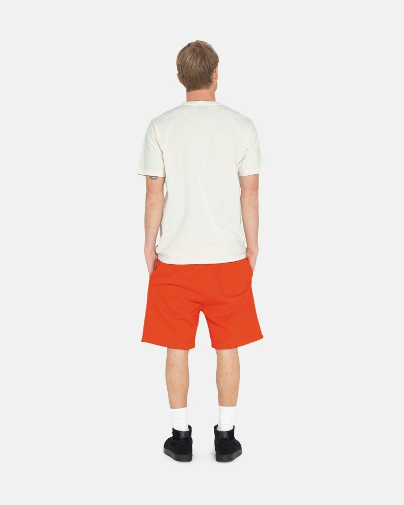 Stüssy Overdyed Stock Logo Shorts Kurze Hose Herren Grün | YDATG-7189