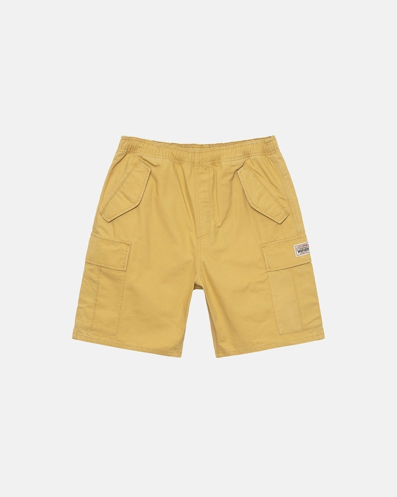 Stüssy Ripstop Cargo Kurze Hose Herren Blau | MDQVU-3549