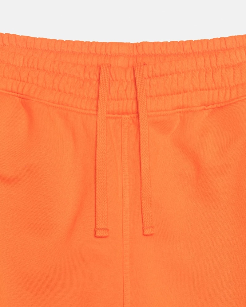 Stüssy Sport Cargo Cargohosen Herren Orange | TPBNQ-3149