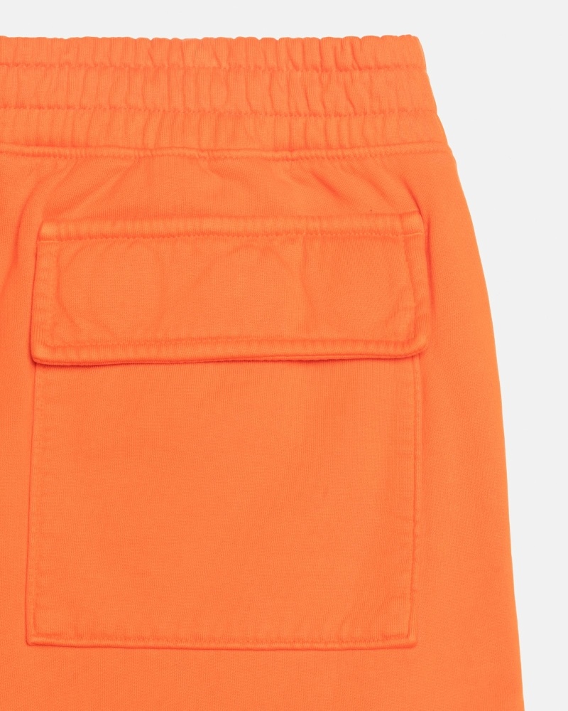 Stüssy Sport Cargo Cargohosen Herren Orange | TPBNQ-3149