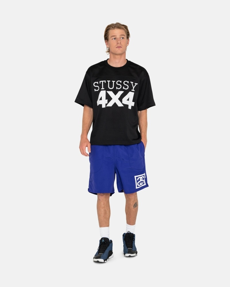 Stüssy Ss-Link Kurze Hose Herren Lila | EJVCY-2137