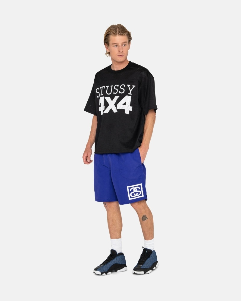 Stüssy Ss-Link Kurze Hose Herren Lila | EJVCY-2137