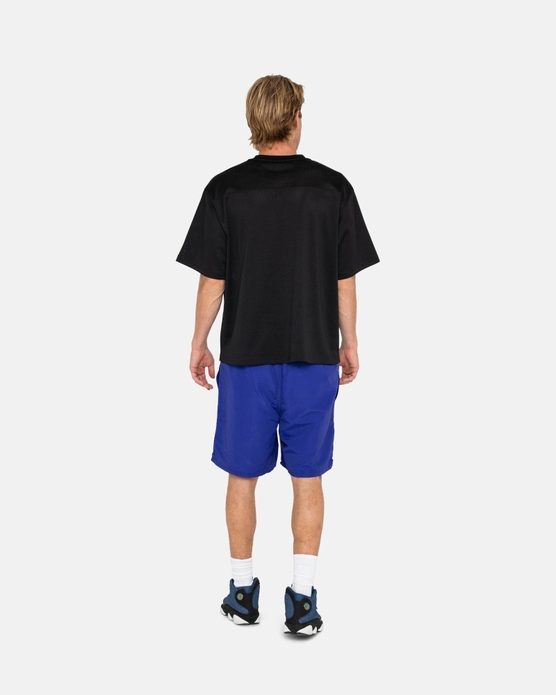 Stüssy Ss-Link Kurze Hose Herren Lila | EJVCY-2137