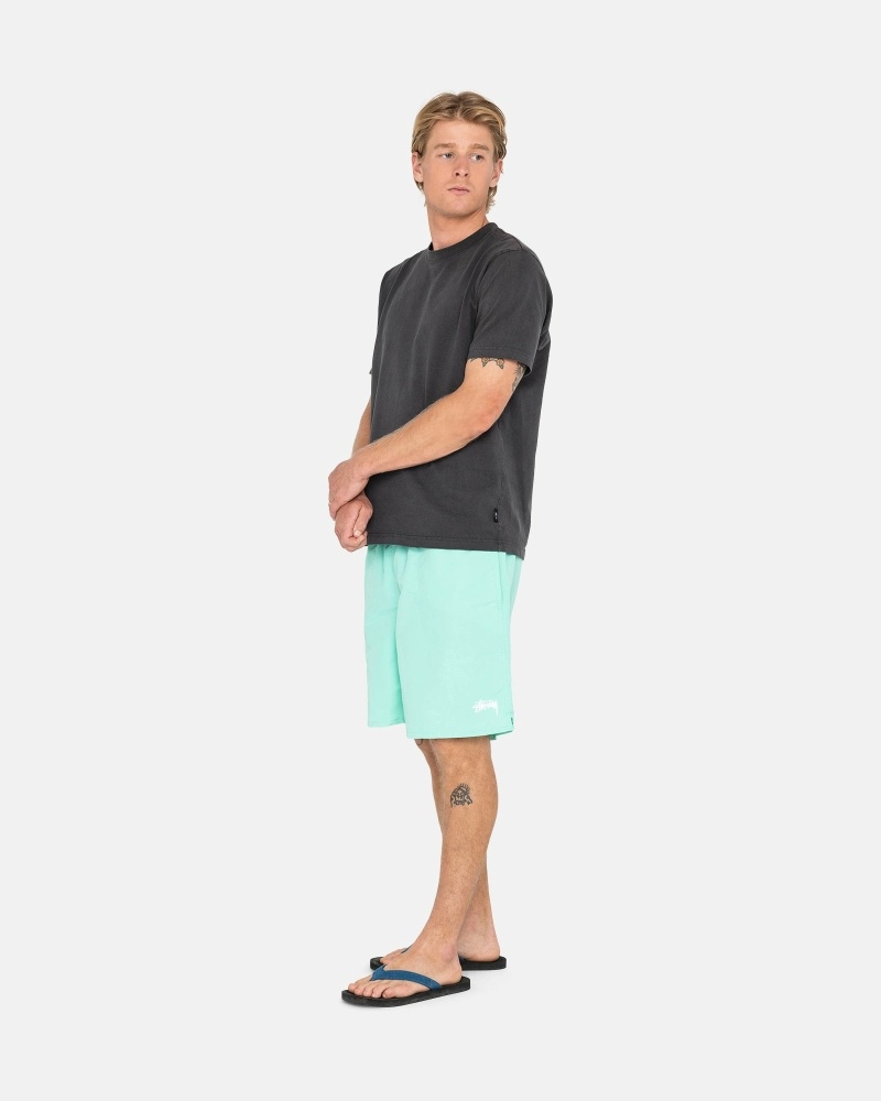 Stüssy Stock Kurze Hose Herren Helltürkis | QJVDG-6491